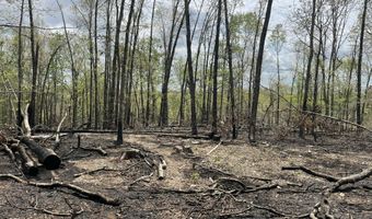 State Hwy N Tract G, Ava, MO 65608