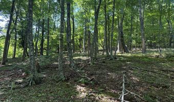281 Scotts Branch Rd, Amherst, VA 24521