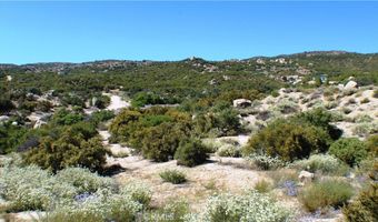42560 Labrinia Ln, Anza, CA 92539