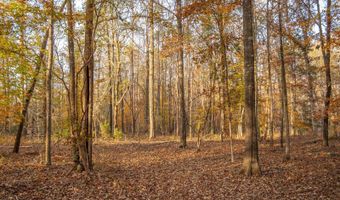 249 W Chapman Rd, Belton, SC 29627