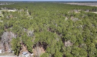 0 Lot 2 Creek Place Rd, Arapahoe, NC 28510