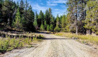 201 Tripod Vw, Cascade, ID 83611