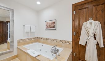 415 E Dean St Unit 3 Week 8, Aspen, CO 81611