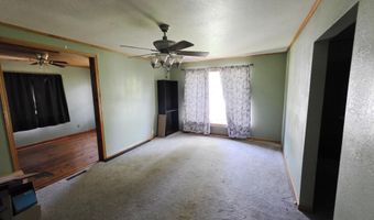 517 S Adams Ave, Aurora, MO 65605