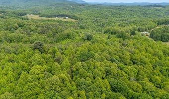Ahart Ridge Rd lot 58 60 61, Ararat, VA 24053