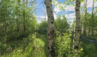 TRACT 4 ASPEN RIDGE Road, Daniel, WY 83115
