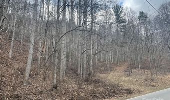 Martins Creek Road, Barnardsville, NC 28709