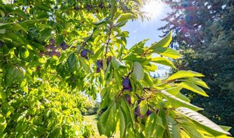 5824 Haddon Ln, Anacortes, WA 98221