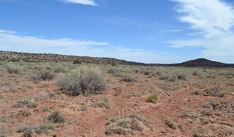 N8577 18, Concho, AZ 85924