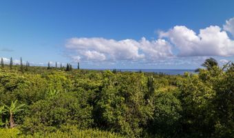 601 N Honokala Rd B, Haiku, HI 96708