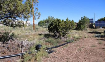 17 Bonita Ln, Concho, AZ 85924