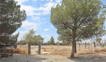 19478 Valle Vista Rd, Adelanto, CA 92301