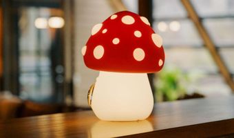 925 W North St, Aspen, CO 81611