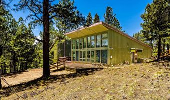 253 Saladon Rd, Angel Fire, NM 87710