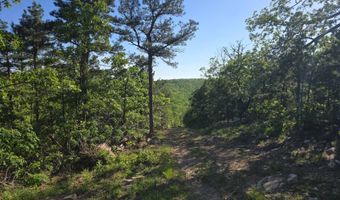 TR 21 & 22 PINE TREE TRAIL, Albion, OK 74571
