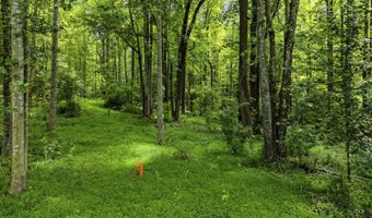 COUNTRY CREEK LN, Amissville, VA 20106