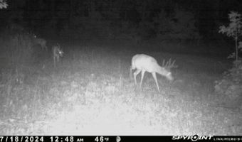 8752 HWY A, Almond, WI 54909