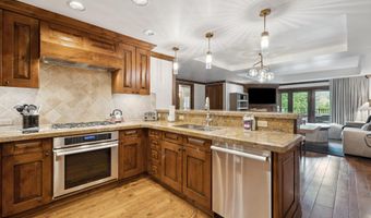 415 E Dean St Unit 11 Week 5, Aspen, CO 81611