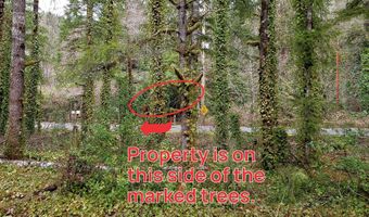 E Barlow Trail Rd, Brightwood, OR 97011