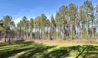 Highway 28, Abbeville, SC 29620