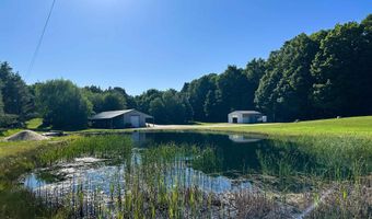 8157 NW Kellogg Rd, Alden, MI 49612