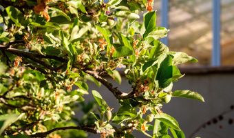 927 CAMINO VISTA RIO, Bernalillo, NM 87004