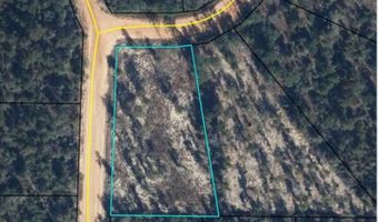 Empire Avenue lot 9, Alford, FL 32420