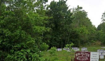 FM 521 TX, Angleton, TX 77515