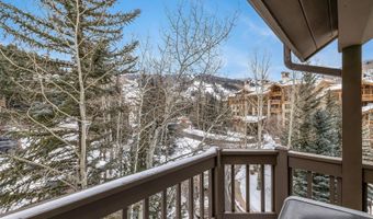 83 Offerson 1, Beaver Creek, CO 81620