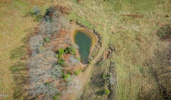 1520 Brittontown Rd, Afton, TN 37616