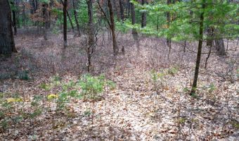 255 45 Ac Dover Dr, Adams, WI 53910