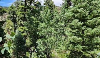 1506 Clarke Mountain Ln, Antonito, CO 81120