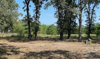 744 County Road 1513, Alba, TX 75410