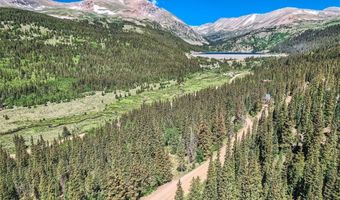 553 Nuthatch Dr Lot 18, Alma, CO 80440