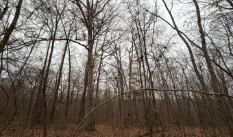 TBD1 E Willow Rd, Bloomfield, IN 47424