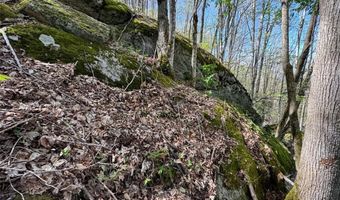 62 Acres Buckeye Ridge Rd, Beech Mountain, NC 28604