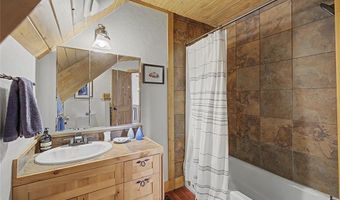 62 Lazy Rex Rd, Alma, CO 80440