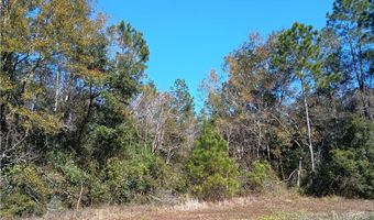 Bryant Drive, Bayou La Batre, AL 36509