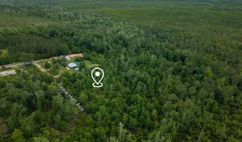 Drew Hall lot 9-10, Altha, FL 32421