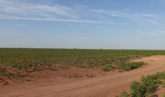 FM 597, Abernathy, TX 79311