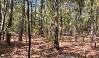 Tract 51 Highway 2, Antlers, OK 74523