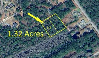 5554 Giddyup Ln, Awendaw, SC 29429