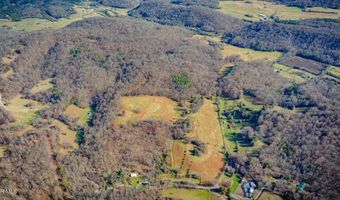 1520 Brittontown Rd, Afton, TN 37616