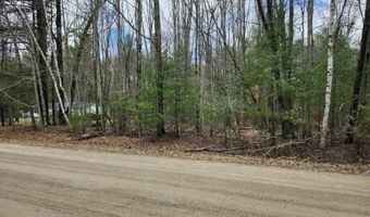 N Forest Lake Drive, Alger, MI 48610