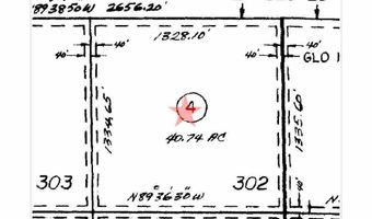 40 74 Acre N Dill Rd 302, Portal, AZ 85632