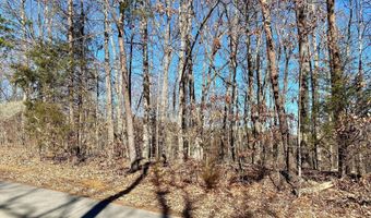 Lot 969 Iron Gate Drive, Baneberry, TN 37890