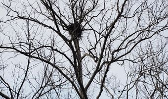 4775 S 50th Rd, Aldrich, MO 65601