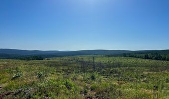 D4289 Road, Antlers, OK 74536