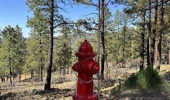 1142 Deer Ridge Dr, Bayfield, CO 81122