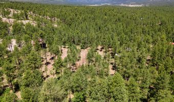 13 County Road N 2122, Alpine, AZ 85920